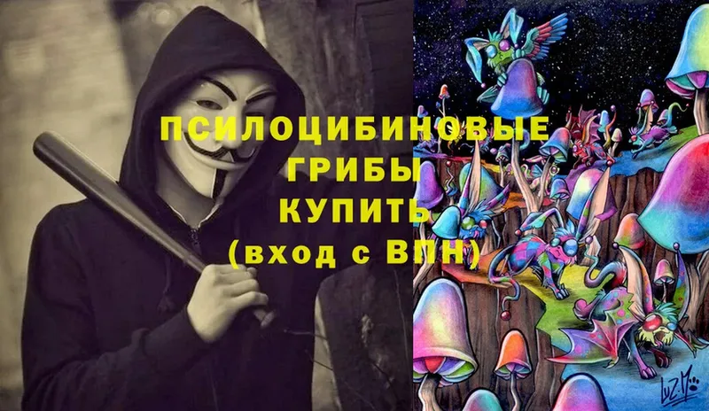 хочу   Ртищево  Псилоцибиновые грибы Magic Shrooms 